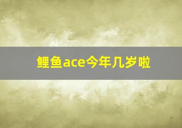 鲤鱼ace今年几岁啦