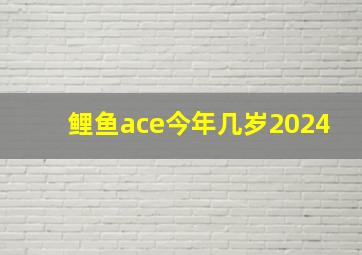 鲤鱼ace今年几岁2024