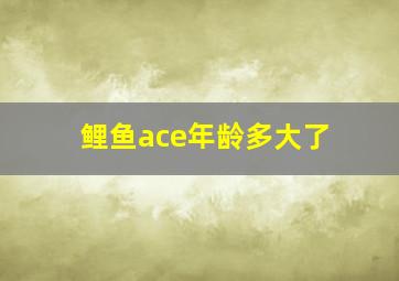 鲤鱼ace年龄多大了