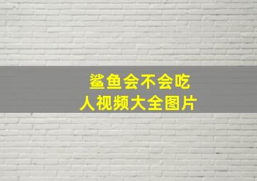 鲨鱼会不会吃人视频大全图片