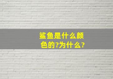 鲨鱼是什么颜色的?为什么?