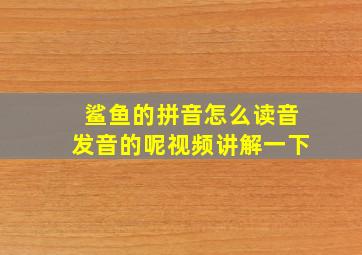 鲨鱼的拼音怎么读音发音的呢视频讲解一下