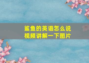 鲨鱼的英语怎么说视频讲解一下图片