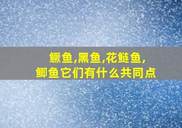 鳜鱼,黑鱼,花鲢鱼,鲫鱼它们有什么共同点