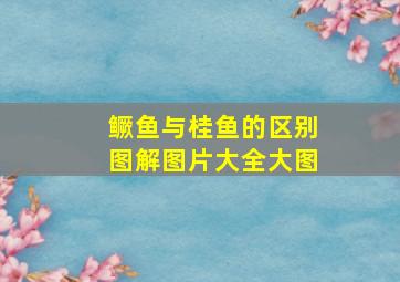 鳜鱼与桂鱼的区别图解图片大全大图