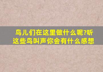 鸟儿们在这里做什么呢?听这些鸟叫声你会有什么感想