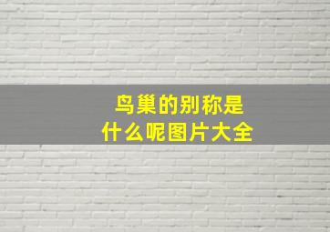 鸟巢的别称是什么呢图片大全