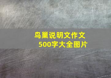 鸟巢说明文作文500字大全图片