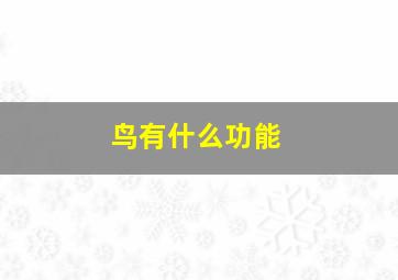 鸟有什么功能