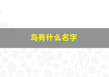 鸟有什么名字