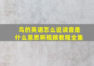 鸟的英语怎么说读音是什么意思啊视频教程全集