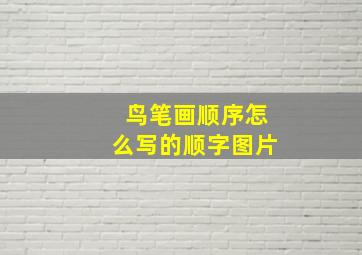 鸟笔画顺序怎么写的顺字图片