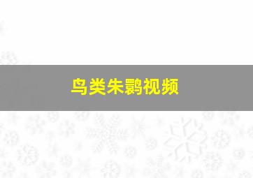 鸟类朱鹮视频