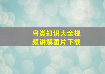 鸟类知识大全视频讲解图片下载