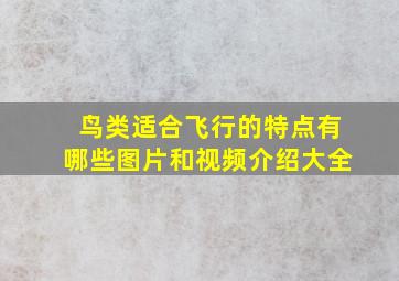 鸟类适合飞行的特点有哪些图片和视频介绍大全