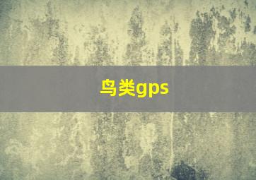 鸟类gps