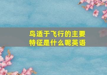 鸟适于飞行的主要特征是什么呢英语