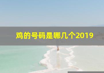 鸡的号码是哪几个2019