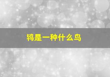 鸨是一种什么鸟