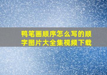 鸭笔画顺序怎么写的顺字图片大全集视频下载