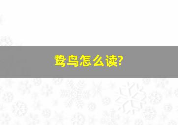 鸷鸟怎么读?