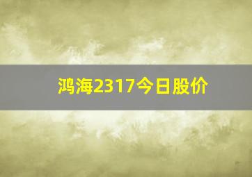 鸿海2317今日股价