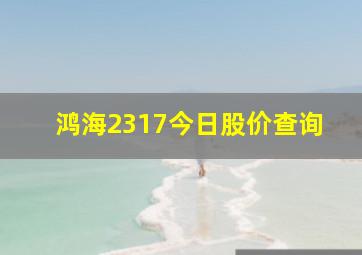 鸿海2317今日股价查询