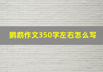 鹦鹉作文350字左右怎么写