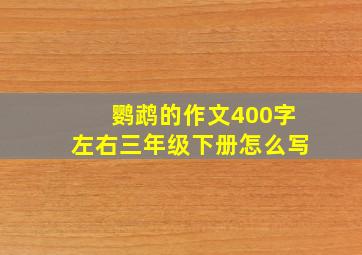 鹦鹉的作文400字左右三年级下册怎么写