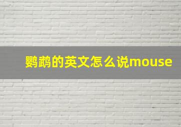 鹦鹉的英文怎么说mouse