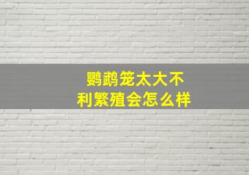 鹦鹉笼太大不利繁殖会怎么样