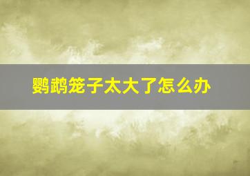 鹦鹉笼子太大了怎么办