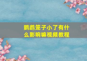 鹦鹉笼子小了有什么影响嘛视频教程