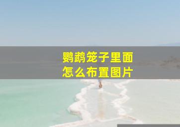 鹦鹉笼子里面怎么布置图片