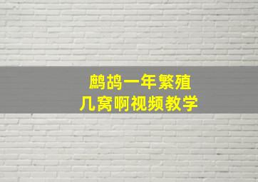 鹧鸪一年繁殖几窝啊视频教学