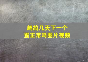 鹧鸪几天下一个蛋正常吗图片视频