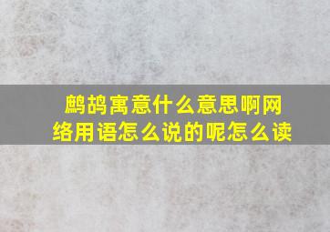 鹧鸪寓意什么意思啊网络用语怎么说的呢怎么读