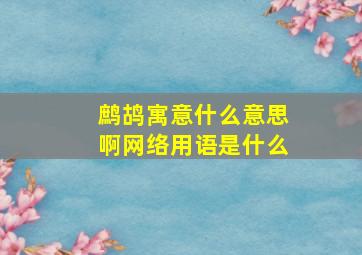 鹧鸪寓意什么意思啊网络用语是什么