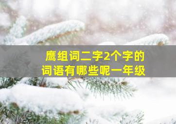 鹰组词二字2个字的词语有哪些呢一年级