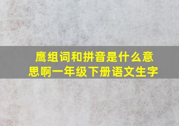 鹰组词和拼音是什么意思啊一年级下册语文生字