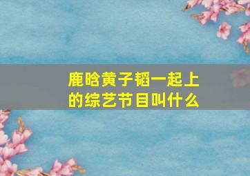 鹿晗黄子韬一起上的综艺节目叫什么