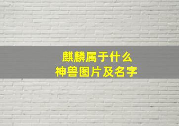 麒麟属于什么神兽图片及名字