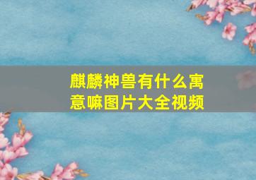 麒麟神兽有什么寓意嘛图片大全视频