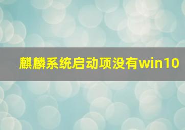 麒麟系统启动项没有win10