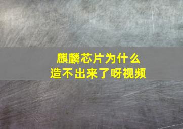 麒麟芯片为什么造不出来了呀视频