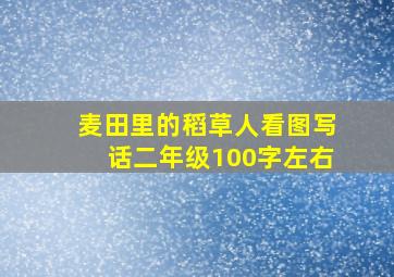 麦田里的稻草人看图写话二年级100字左右