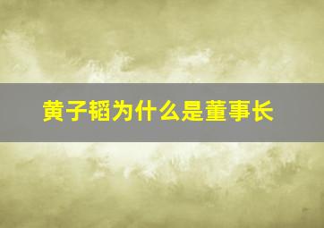 黄子韬为什么是董事长