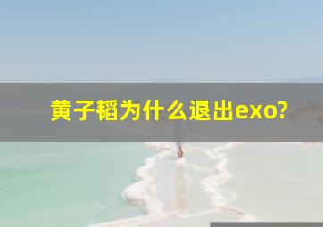 黄子韬为什么退出exo?