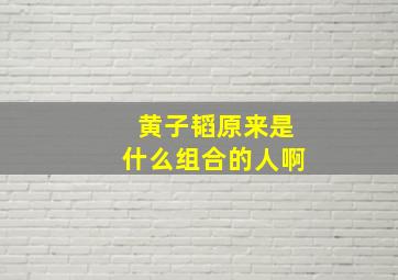 黄子韬原来是什么组合的人啊