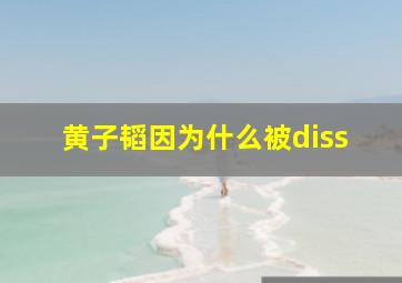 黄子韬因为什么被diss